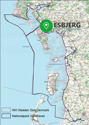 Esbjerg is located by the Wadden Sea and the west coast of Jutland, Denmark. The nature is ever changing due to the tidal waters.